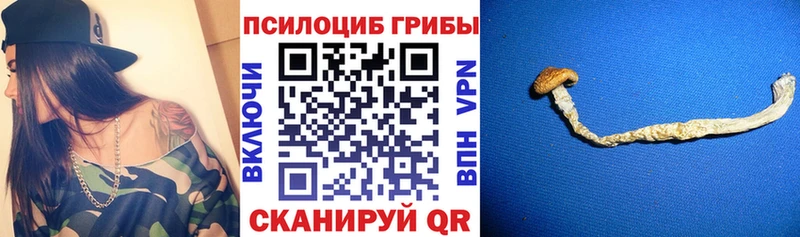 Псилоцибиновые грибы прущие грибы  Майкоп 