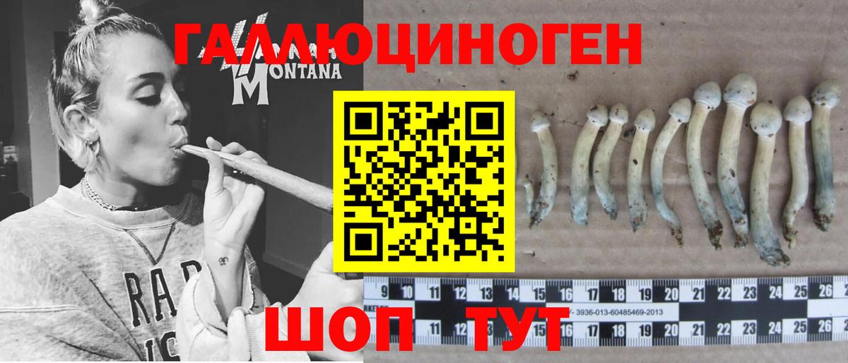 Псилоцибиновые грибы мухоморы  купить наркотик  Майкоп  Вход с VPN 