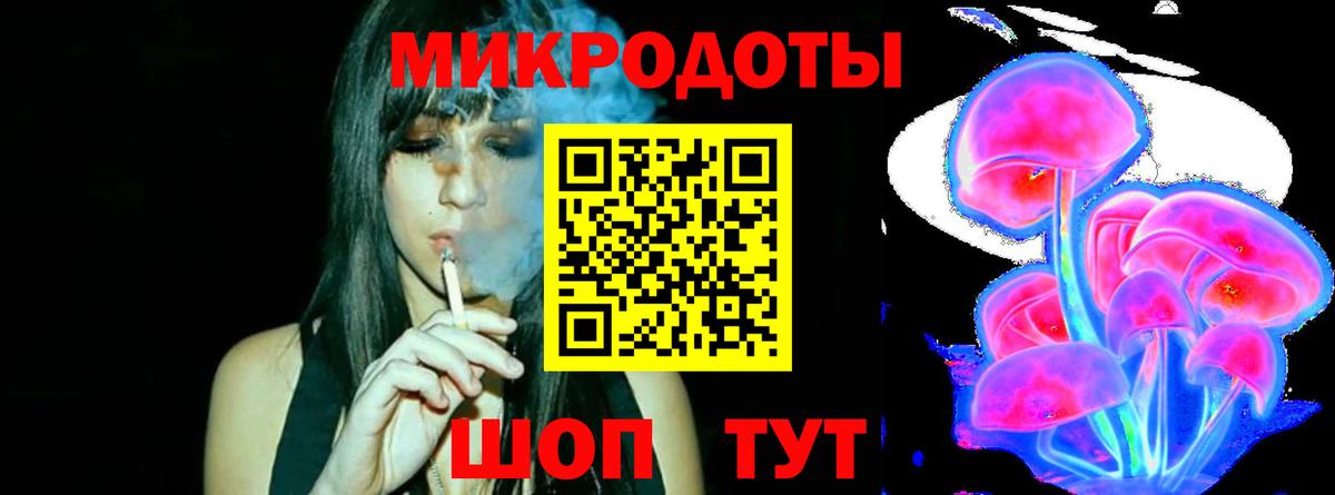 Псилоцибиновые грибы Psilocybine cubensis Майкоп