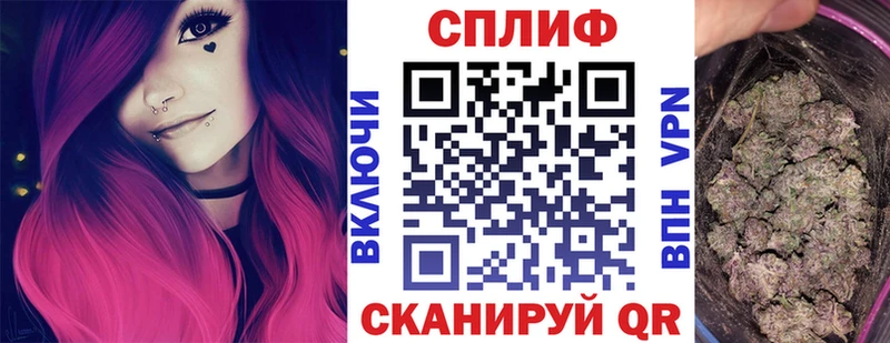 Канабис конопля  наркота  Майкоп 