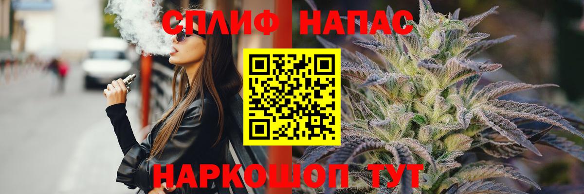 Канабис семена Майкоп
